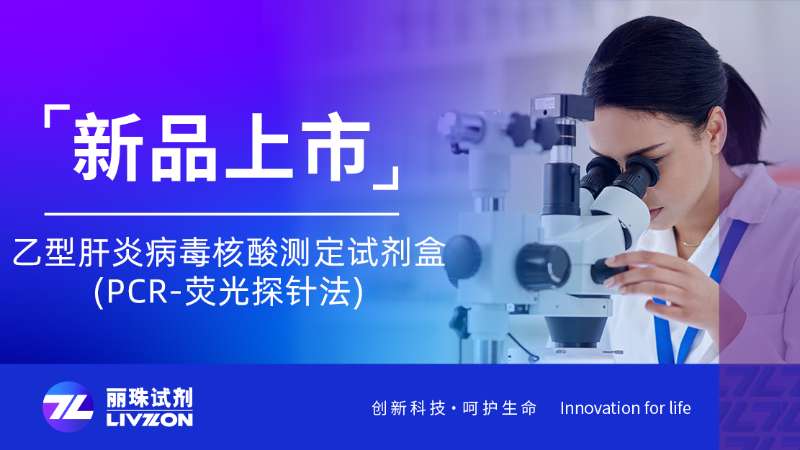 新品速報 | 乙型肝炎病毒核酸測定試劑盒(PCR-熒光探針法)全新上市！